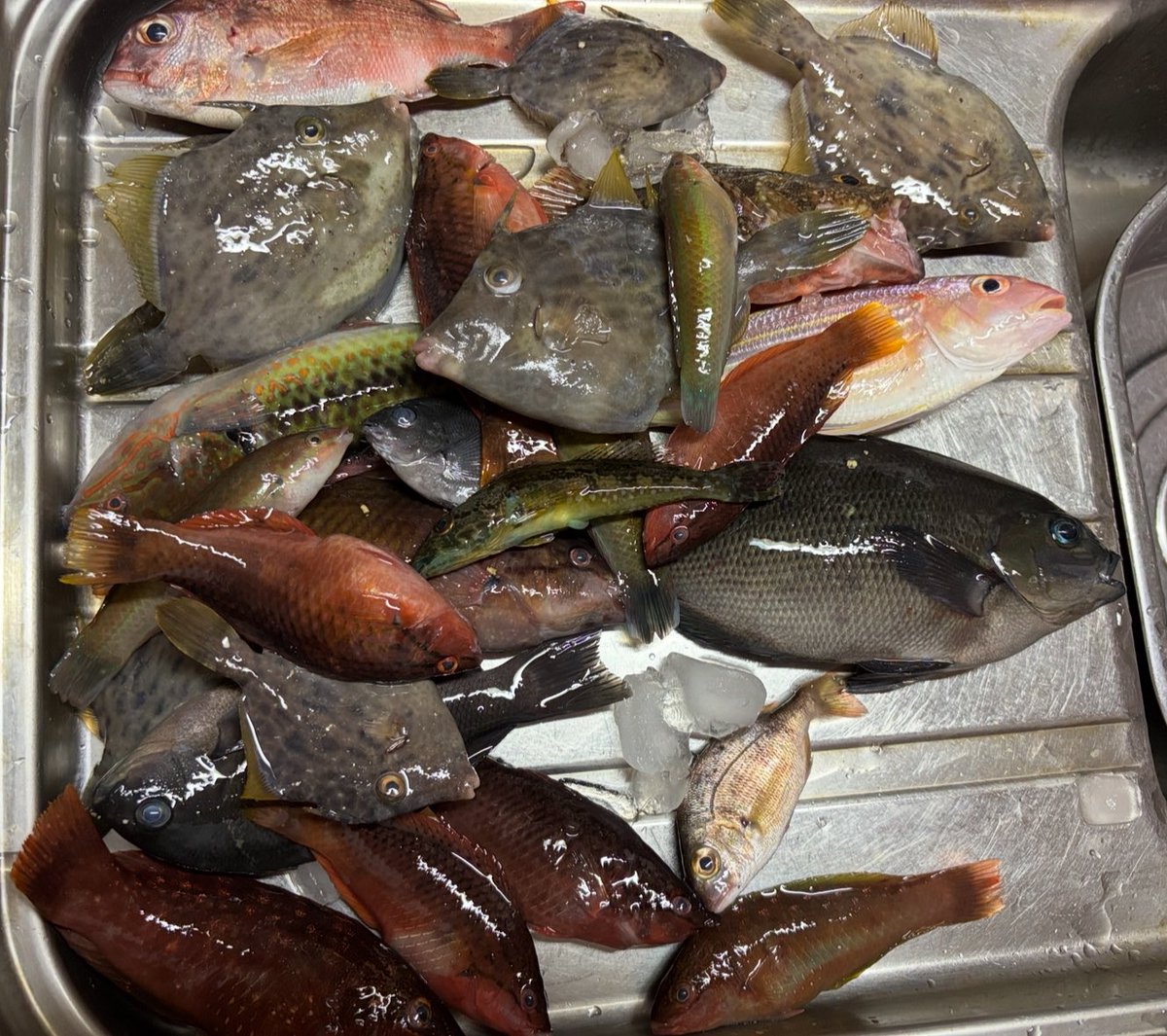 久しぶりに息子と釣りに行ってきたよ
楽しかった🤣🤣🤣