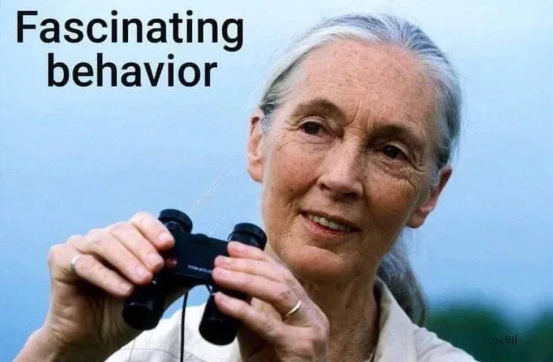 Krypto Desi tweet media