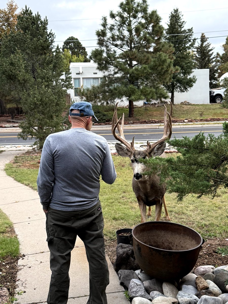 Meanwhile, somewhere near Los Alamos, far away from the BS in the world…