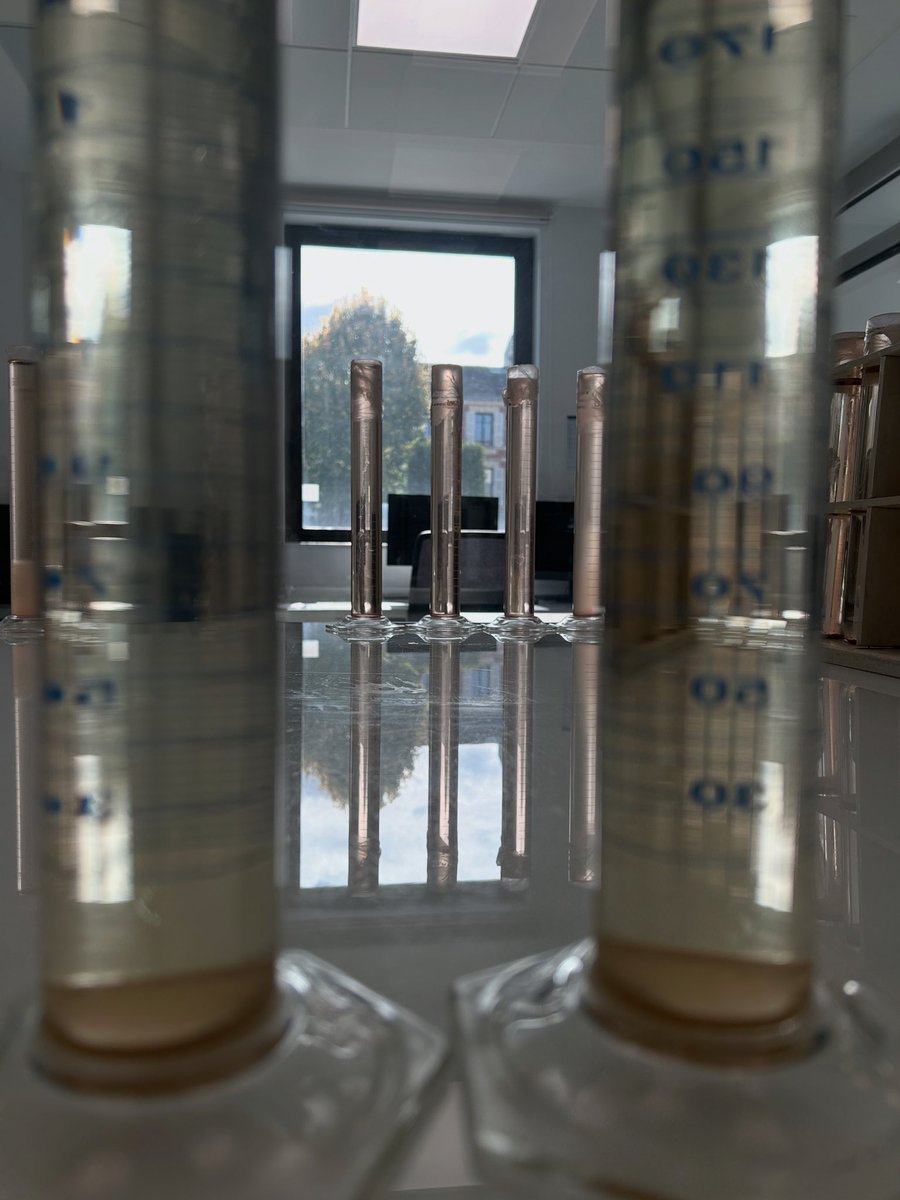 Louis Roederer (@louisroederer_) on Twitter photo Studying the origins of salinity in our #Champagne : from mineral to organic salinity! #ChildofChalk #InPursuitofTaste -JBL Studying the origins of salinity in our #Champagne : from mineral to organic salinity! #ChildofChalk #InPursuitofTaste -JBL