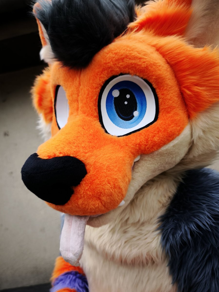 Déjà lundi... petite photo pour vous remonter le moral et vous donner du courage pour cette nouvelle semaine :3
#furry #fursuit