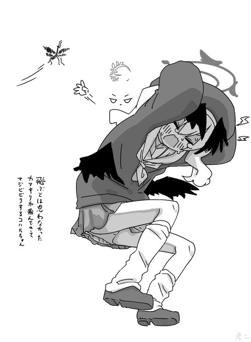 コハルちゃんは飛行カマキリにマジビビリしてほしい 