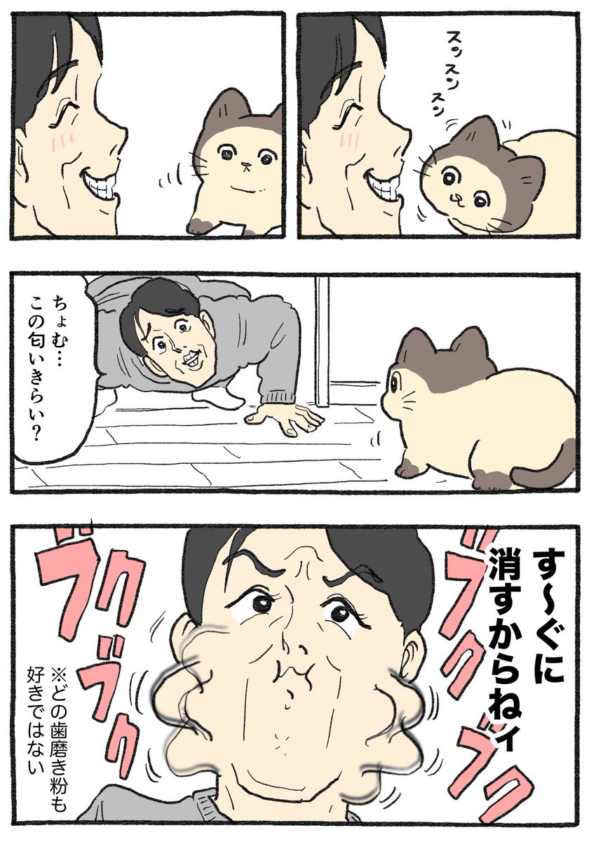 ねこに転生したおじさん。その809