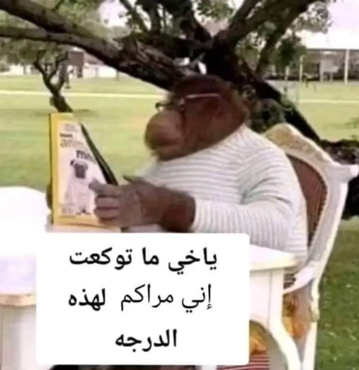 سبايدر ندمان (@samuraimanga) on Twitter photo 