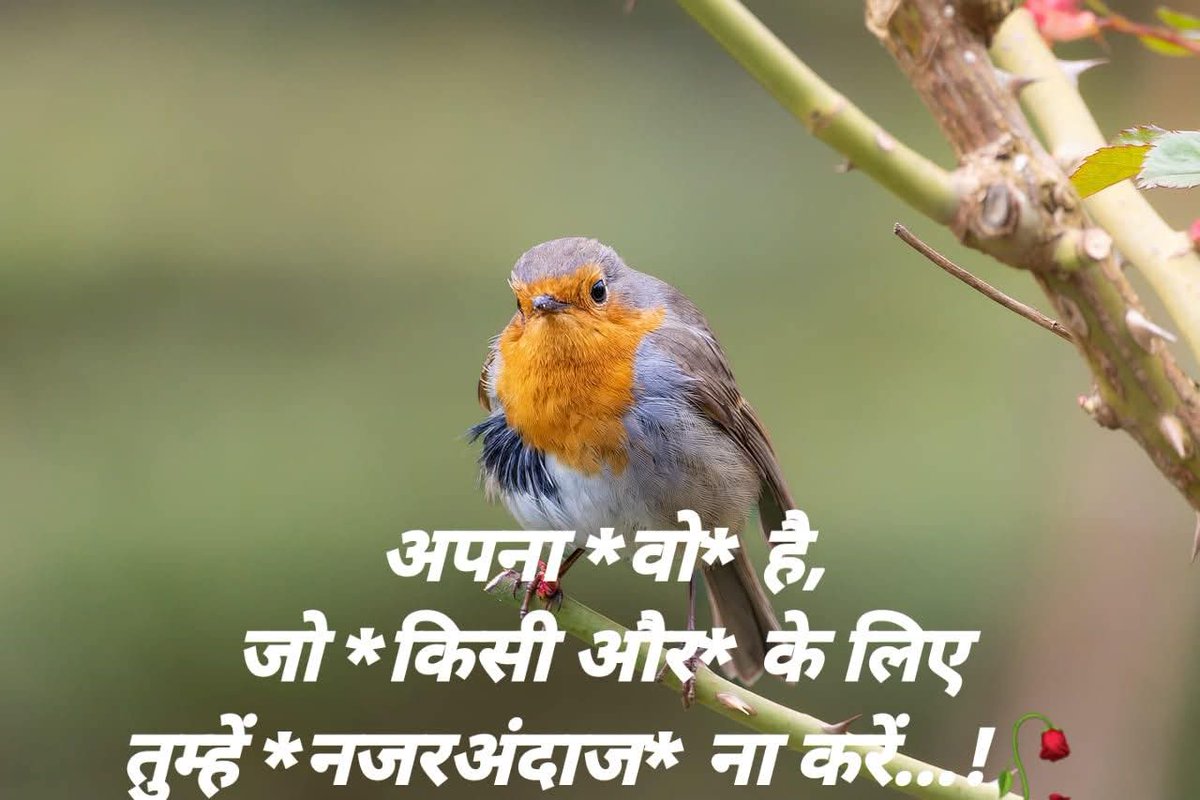 अपना...! 
#tr_marwadi