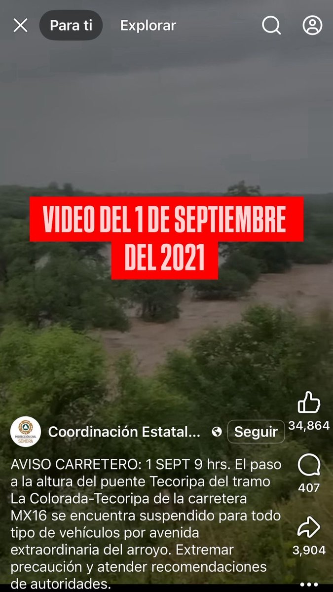 Paloma Teran V tweet media