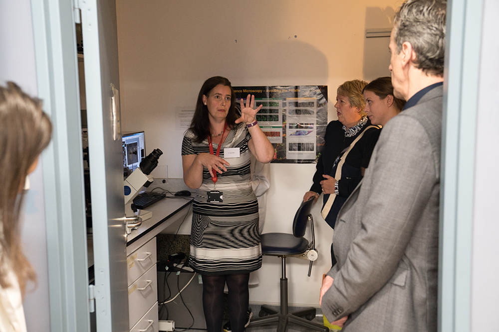 brinatello's tweet image. October 13th is #MetastaticBreastCancerAwarenessDay. When #PeterCapaldi became a patron to @2ndary1st in 2016, @ClaudicalWells (Professor of Cancer Cell Biology) provided details of the work the do at the lab. #SecondaryBreastCancer #BreastCancerAwarenessMonth @BreastCancerNow