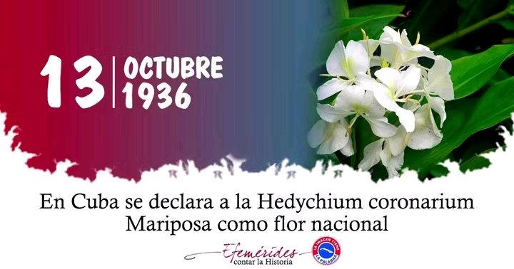 Un día como hoy 13 de octubre pero de 1936: La flor Mariposa , es declarada Flor Nacional de #Cuba
La mariposa no solo embellece nuestros jardines, también florece en la memoria de quienes lucharon por Cuba libre. Es símbolo de identidad, ternura y fuerza femenina. <a href="/Radio_Mambi/">CMKW Radio Mambí</a>