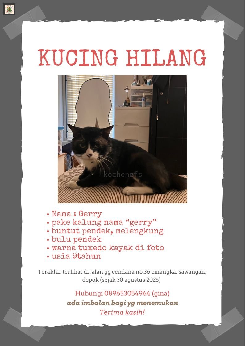 KochengFess v2 tweet media