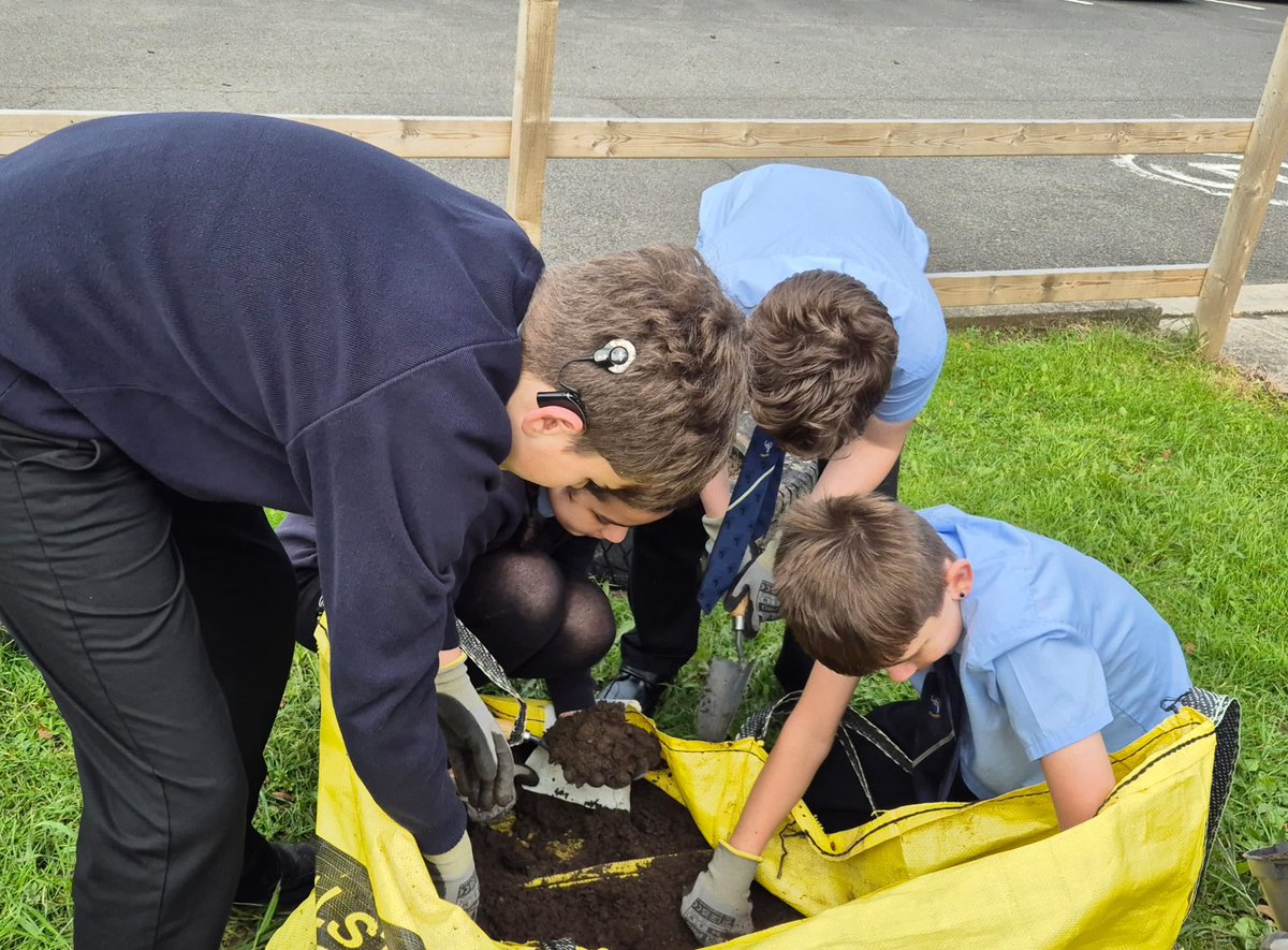 In outdoor learning: Yr 7 prepared the vegetable beds and planted onions and leeks. Year 8 and 9 planted out turnips, welsh onions and rainbow swiss chard and helped to line and fill new raised planters with compost. A year 7 pupil spotted this Pale Tussock Moth caterpillar.