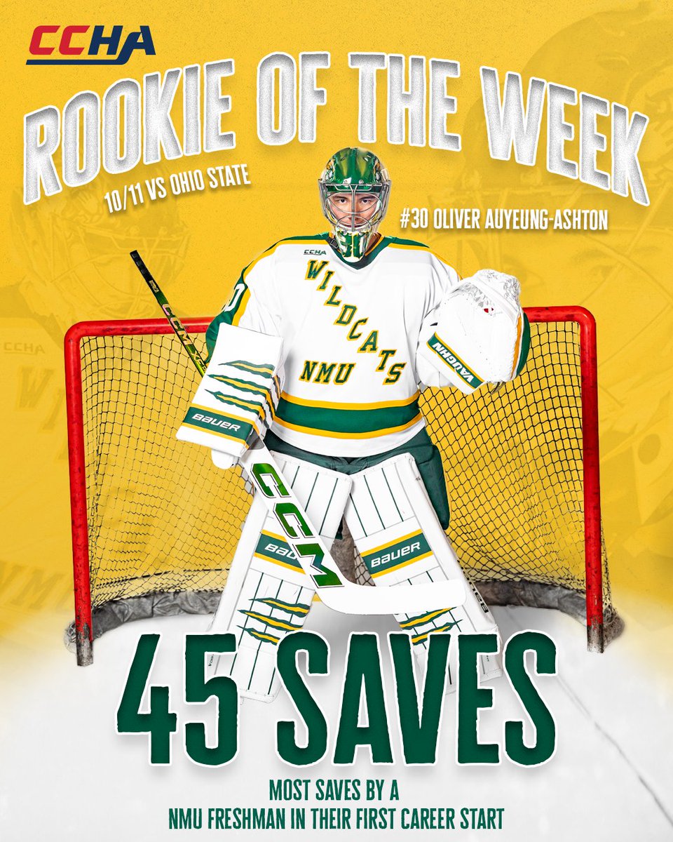 Northern Michigan Hockey tweet media