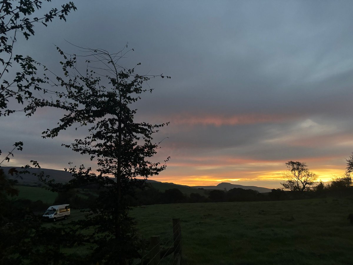 Settle College tweet media