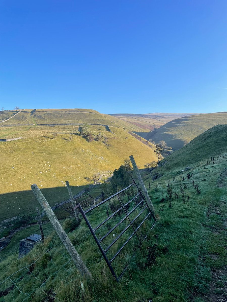 Settle College tweet media