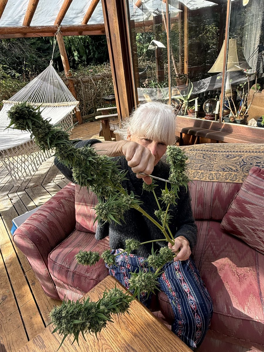 JudithRenaud's tweet image. #EFSDP Utility=Truth