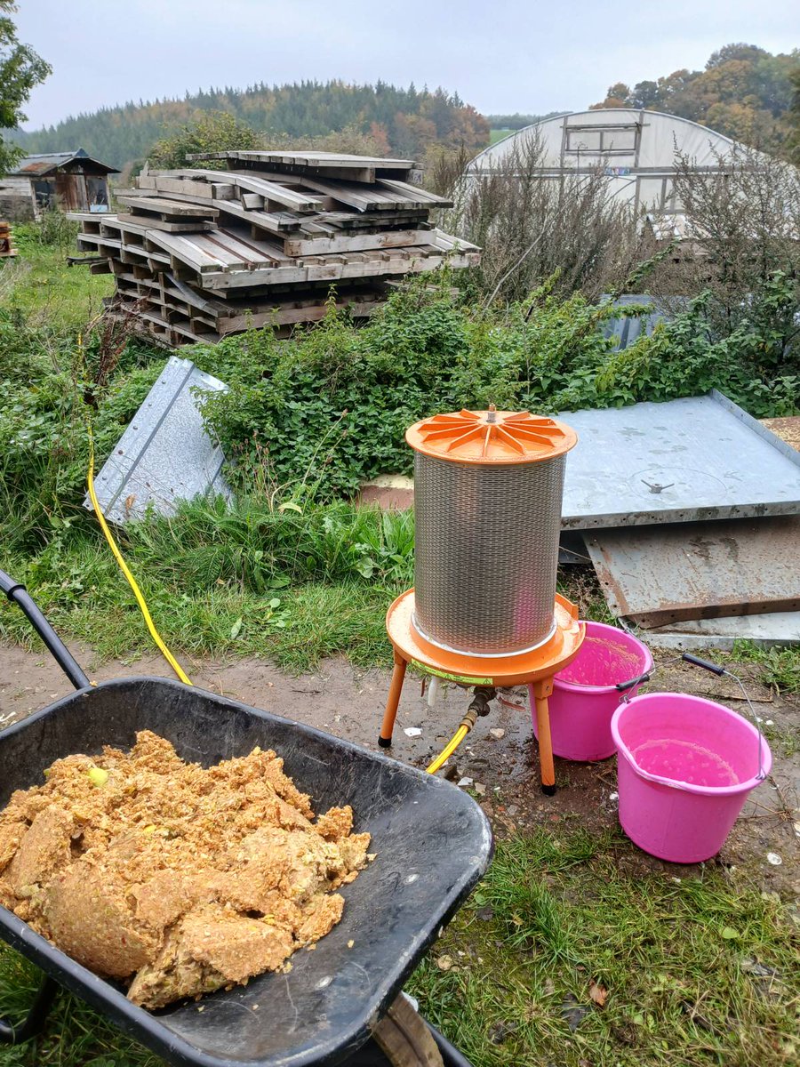 🍎 Apple abundance! 🍏

Last weekend we pressed heaps of apples into fresh juice — a sweet taste of autumn &amp; community at Hardwick Estate. 💚

#ApplePressing #CommunityHarvest #Hempen #RegenerativeLiving