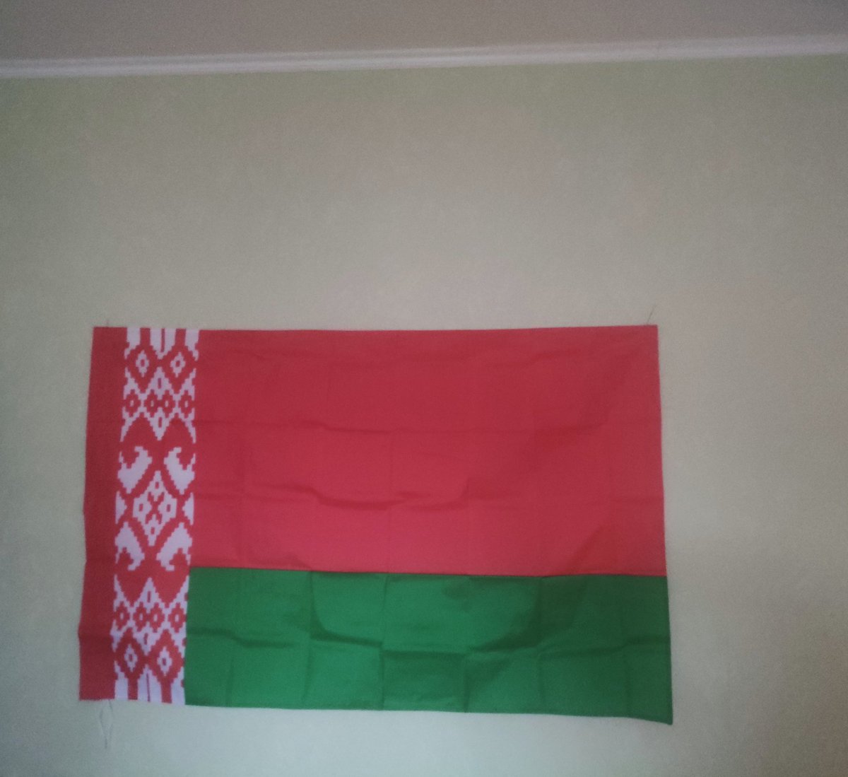 gde_sambuka's tweet image. Внимание! Мою комнату оккупировали! 🥺