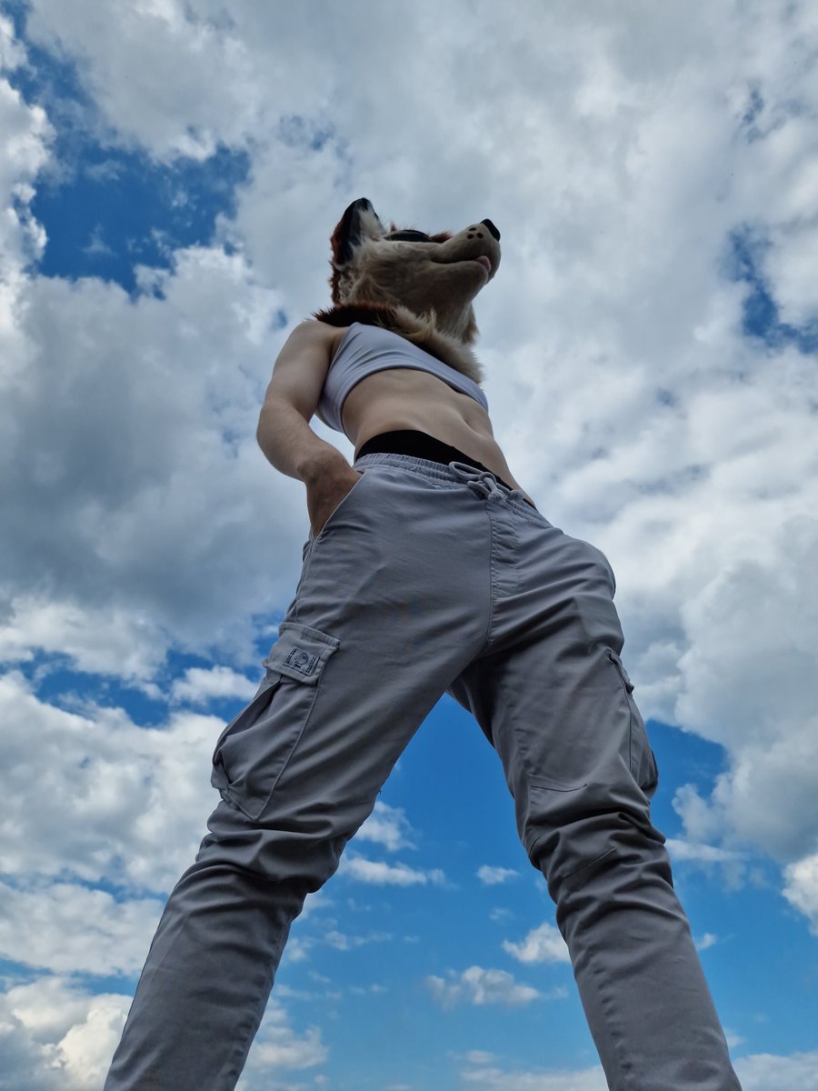 nibbydev's tweet image. just a silly dog in a silly world