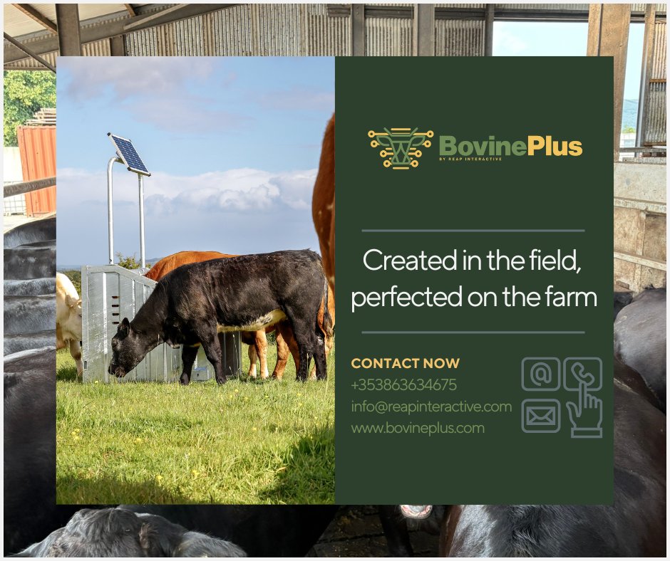 Created in the field, perfected on the farm — because real innovation doesn’t start in a lab. It starts where it’s needed most — beside the animals, under real conditions, solving real challenges farmers face every day.

#BovinePlus #SmarterFarming #FarmTech #FromFieldToData