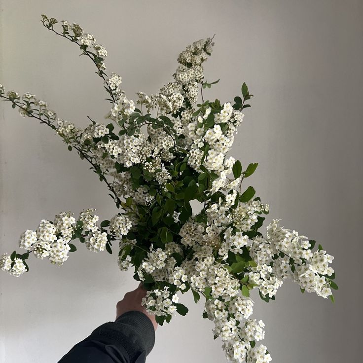 ㅤ

🖇️          Untuk Jimin dan pengguna rupa Jimin. Selamat ulang tahun. Teruslah tumbuh, teruslah bersinar. Semoga usiamu yang baru ini menjadi yang paling membahagiakan. Semoga hatimu selalu tenang dan langkahmu dimudahkan. Terima kasih sudah ada 🤟🏼

ㅤ