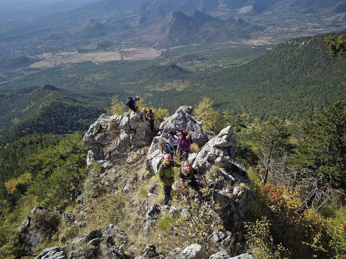 CAI Catanzaro tweet media