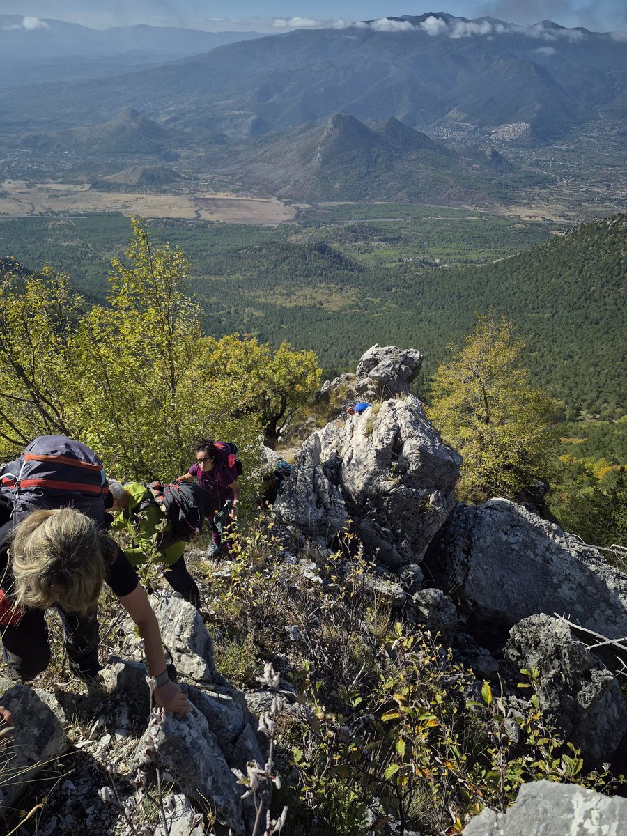 CAI Catanzaro tweet media