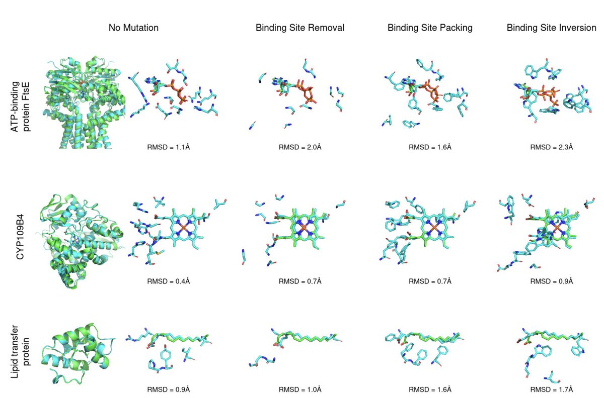 Jorge Bravo (@bravo_abad) on Twitter photo Do co-folding models learn physics—or just memorize pockets?
Deep models like AlphaFold3 and RoseTTAFold All-Atom can place small molecules into protein pockets with eye-popping accuracy. But when chemistry changes, do they still obey sterics, electrostatics, and chemistry—or Do co-folding models learn physics—or just memorize pockets?
Deep models like AlphaFold3 and RoseTTAFold All-Atom can place small molecules into protein pockets with eye-popping accuracy. But when chemistry changes, do they still obey sterics, electrostatics, and chemistry—or
