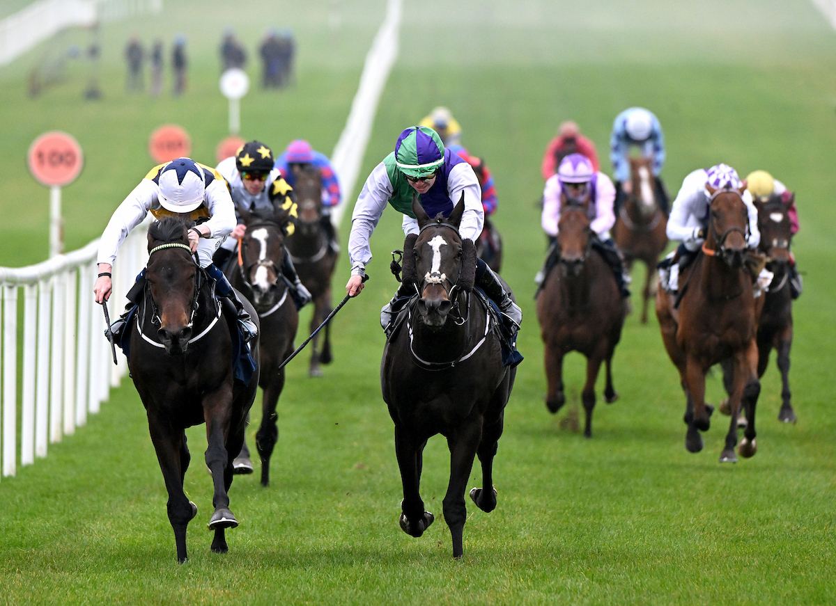 Roscommon Racecourse tweet media