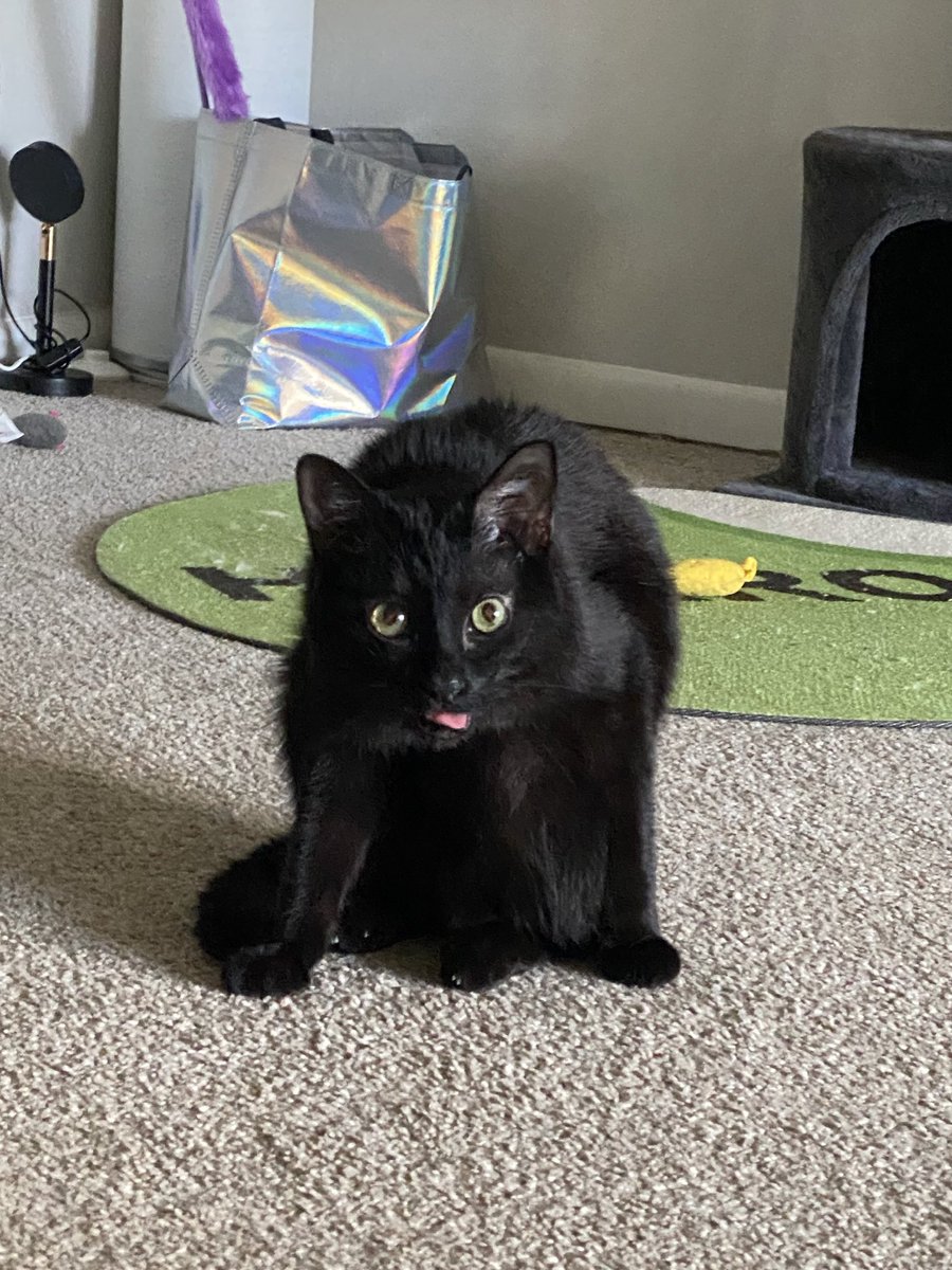 there can be no doubt that he is my son