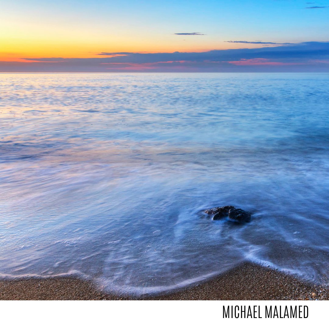 Michael Malamed tweet media