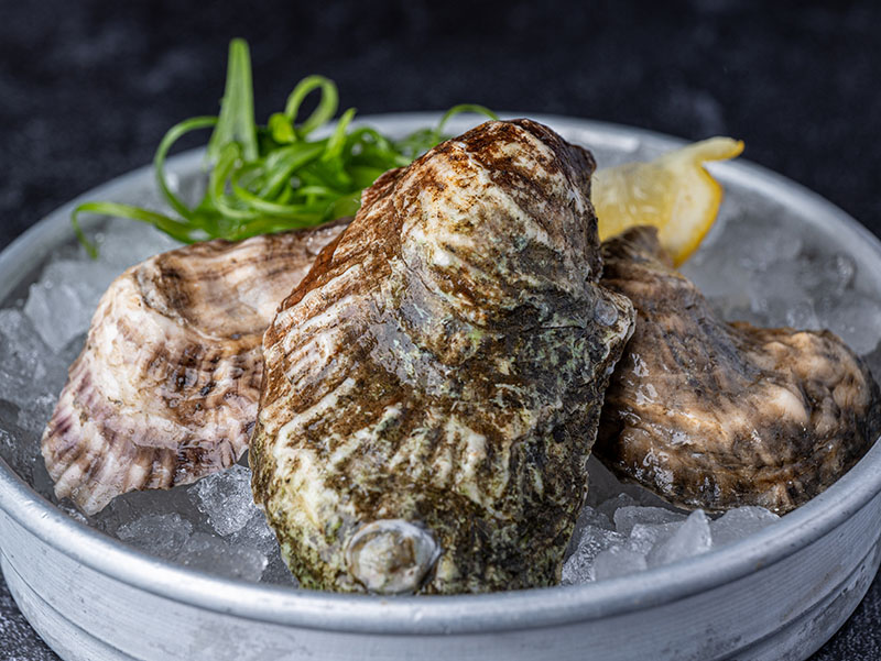 Fresh. Cold. Shucked to order.
Join us Monday–Thursday from 4–6pm for Buck-A-Shuck oysters at The Sole Proprietor. See you at the raw bar.
thesole.com/oysterfest/

#Worcester #WorcesterEats #Seafood #OysterHour #BuckAShuck #TheSoleProprietor