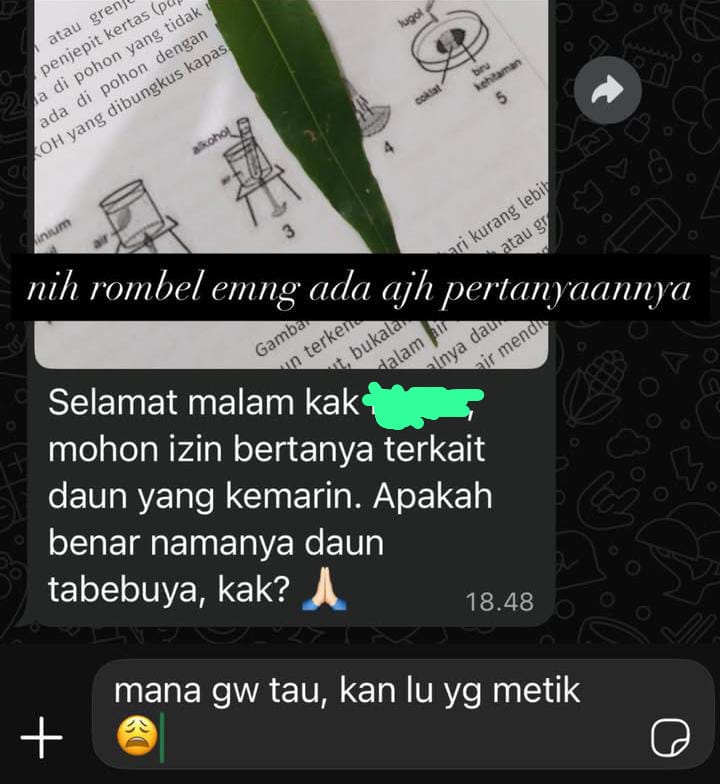 nickkachow's tweet photo. Jadi asisten praktikum selain dituntut untuk menguasai materi praktikum, ternyata juga dituntut untuk menguasai ilmu cenayang😭😭😭 https://t.co/xhd9r6cNru