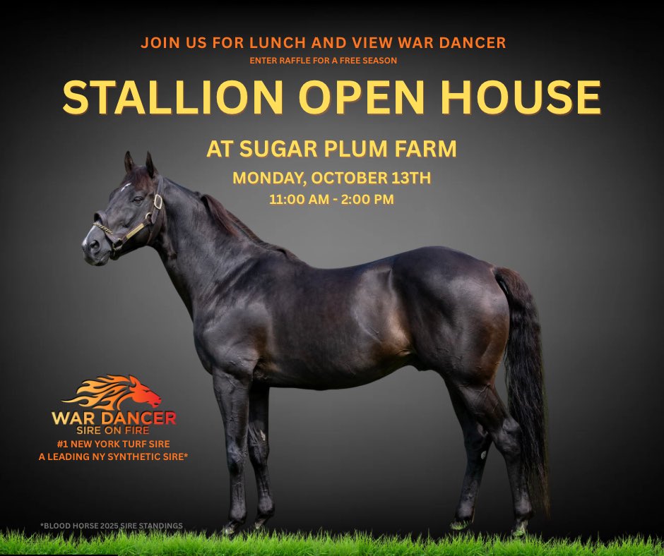 War Dancer (@wardancerstud) on Twitter photo 