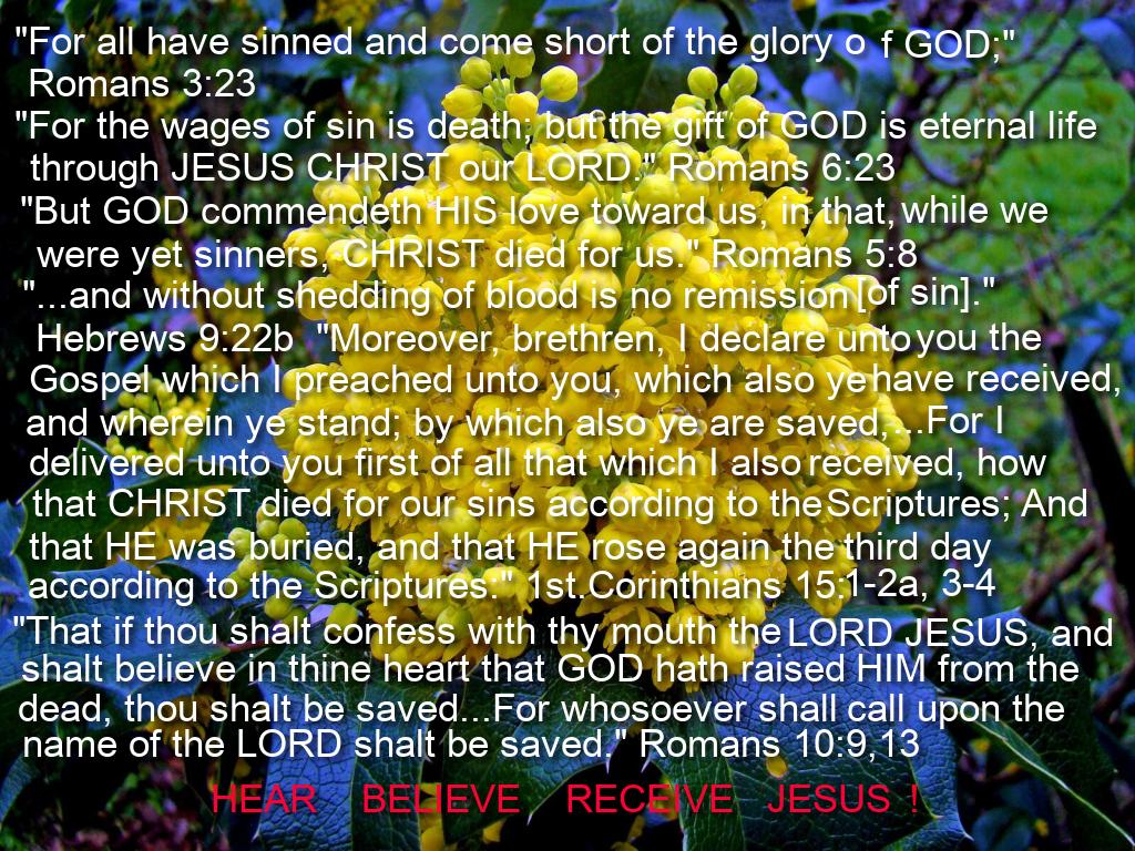 "It is the SPIRIT that quickeneth; the flesh profiteth nothing: the WORDs that I speak unto you, they are SPIRIT and they are life. BUT there are some of you that believe not. . ." ~ JESUS