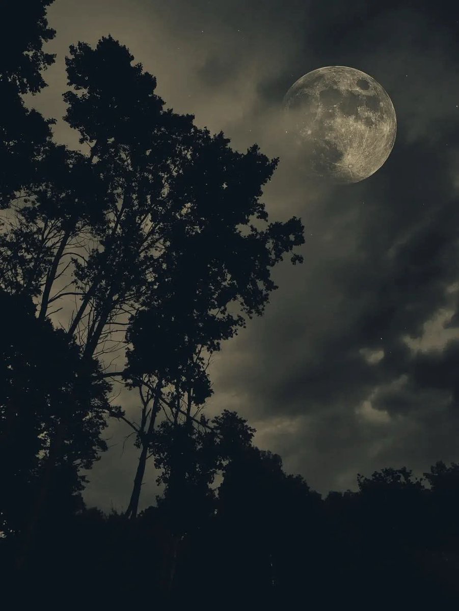 Хүн чамд сэтгэл гаргаж байвал итгэл даах хүн бай 
Хн чамайг ойлгож байвал илүү их ярь
Хүн чамтай хн шиг харьцаж байвал 
Хүндлэлийн дээдээр хүндэл 😇💚