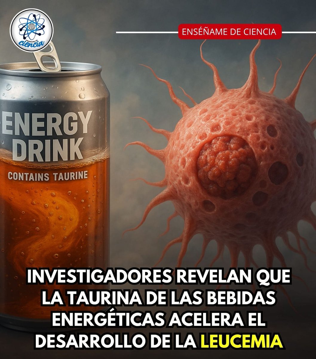 EnsedeCiencia's tweet photo. 🚨Un estudio recién publicado en la revista Nature revela que el consumo de bebidas energéticas podría acelerar el desarrollo de algunos tipos de leucemia. 

El equipo de científicos encargado del trabajo de investigación, procedente de la Universidad de Rochester, ha identificado el compuesto "Taurina" de estas bebidas que aumentan el riesgo de desarrollar  Leucemia. 🤯👇🏼
