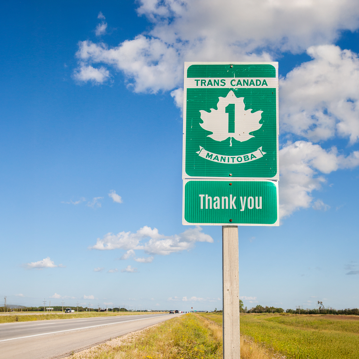 SAFE Roads Manitoba tweet media