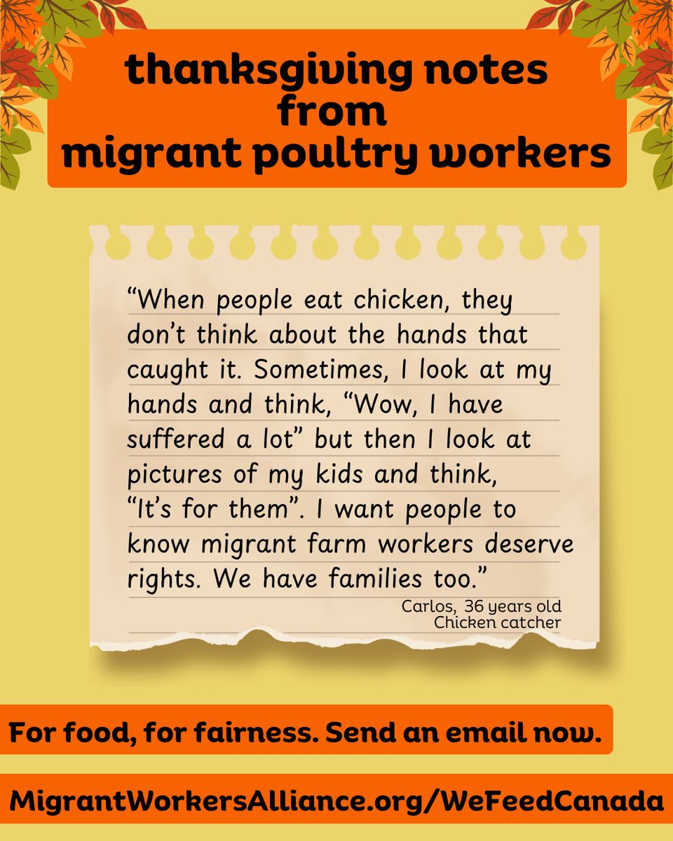 MWACCanada's tweet image. From inside the farm and factory, workers share Thanksgiving notes and photos. Today, give thanks to all workers who feed Canada.

Send an email now to PM @MarkJCarney 
Immigration Min @LenaMetlegeDiab 
Agriculture Min @CornwallHeath and demand justice &amp;amp; permanent #StatusForAll