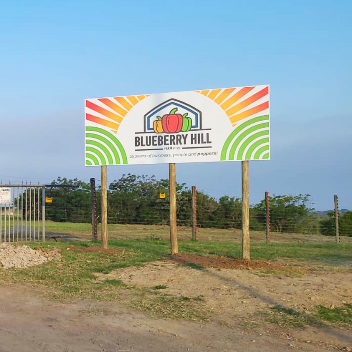 IguanaMedia's tweet image. A fresh face for Blueberry Hill Farm Pty Ltd  🔥
💡 Nice new Logo designed and fresh new signage at the gate.
🪧 Signage installed by Positive Signs
Collaboration makes the magic happen ✨
#LogoDesign #BrandRefresh #PositiveSigns