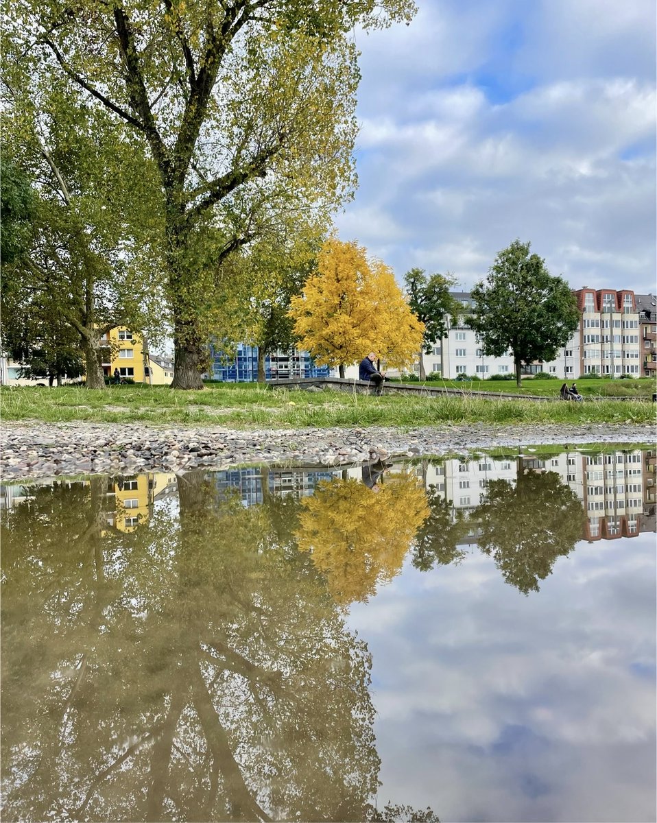 Mit diesem aktuellen #APuddleADay und #KoelnInPfuetzen grüße ich euch. Schönen Abend! 🫶