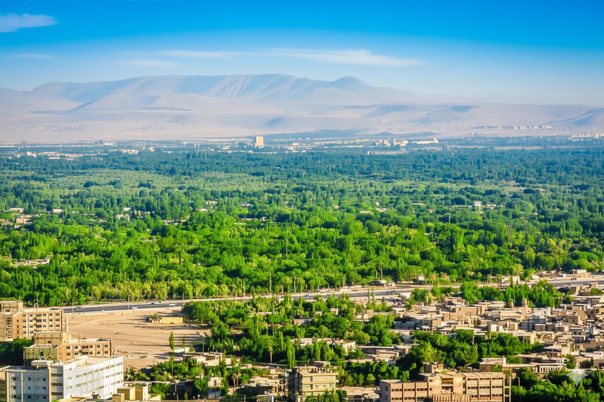 الصورة تعود لسنة ١٩٧٣
دمشق المزة
قبل أن تأتي قرود الجبل النصيرية