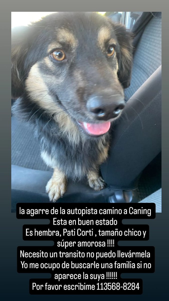 Difundimos