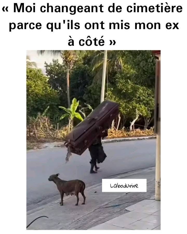 Vous allez bien me manquer les gars, l’heure est arrivée pour moi de quitter les réseaux sociaux 😭😭