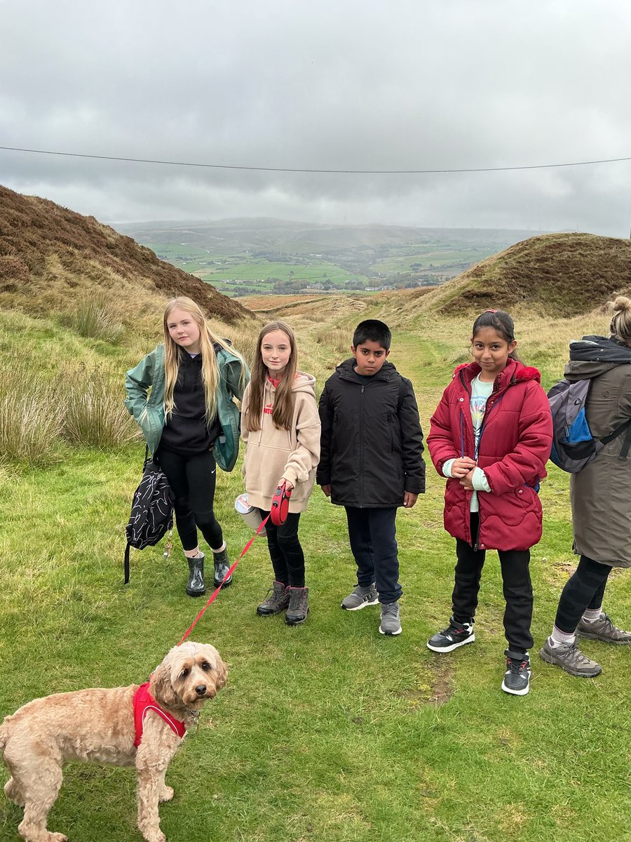 @Wesley_Primary tweet media