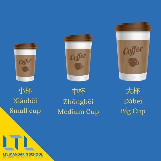 Chinese_KSA_'s tweet image. ☕️✨