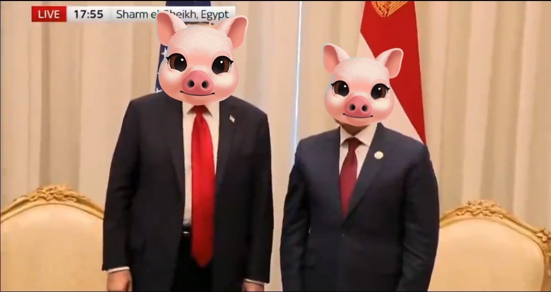 🐷🤝🏻🐷