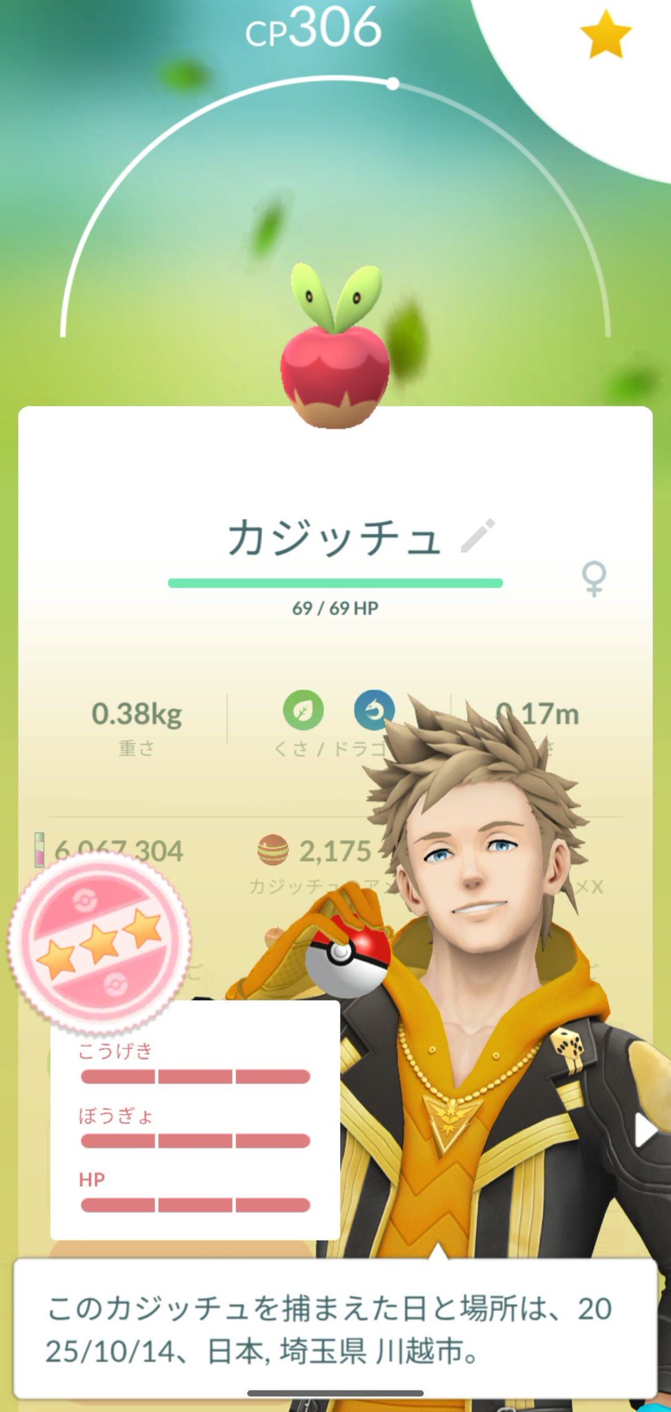 ポケモンずかん　ホロまとめうり ポケモンカードダス ずかん ジュカイン（ホロ） - メルカリ