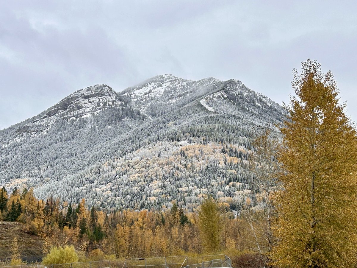 Putsky88's tweet image. Happy Thanksgiving BC! #explorebc 🍂 

(Grilled turkey &amp;amp; cranberry sausages for the win)