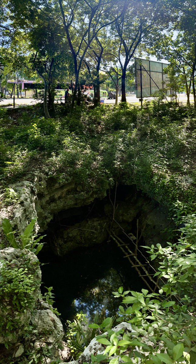 Así es Playa del Carmen, Quintana Roo.
Una ciudad que ha crecido sobre más de 300 cenotes y cuevas.

Este crecimiento desordenado principalmente, es la causa de la contaminación del acuífero. Muchas descargas clandestinas y también, drenajes con fugas (donde hay urbanización).