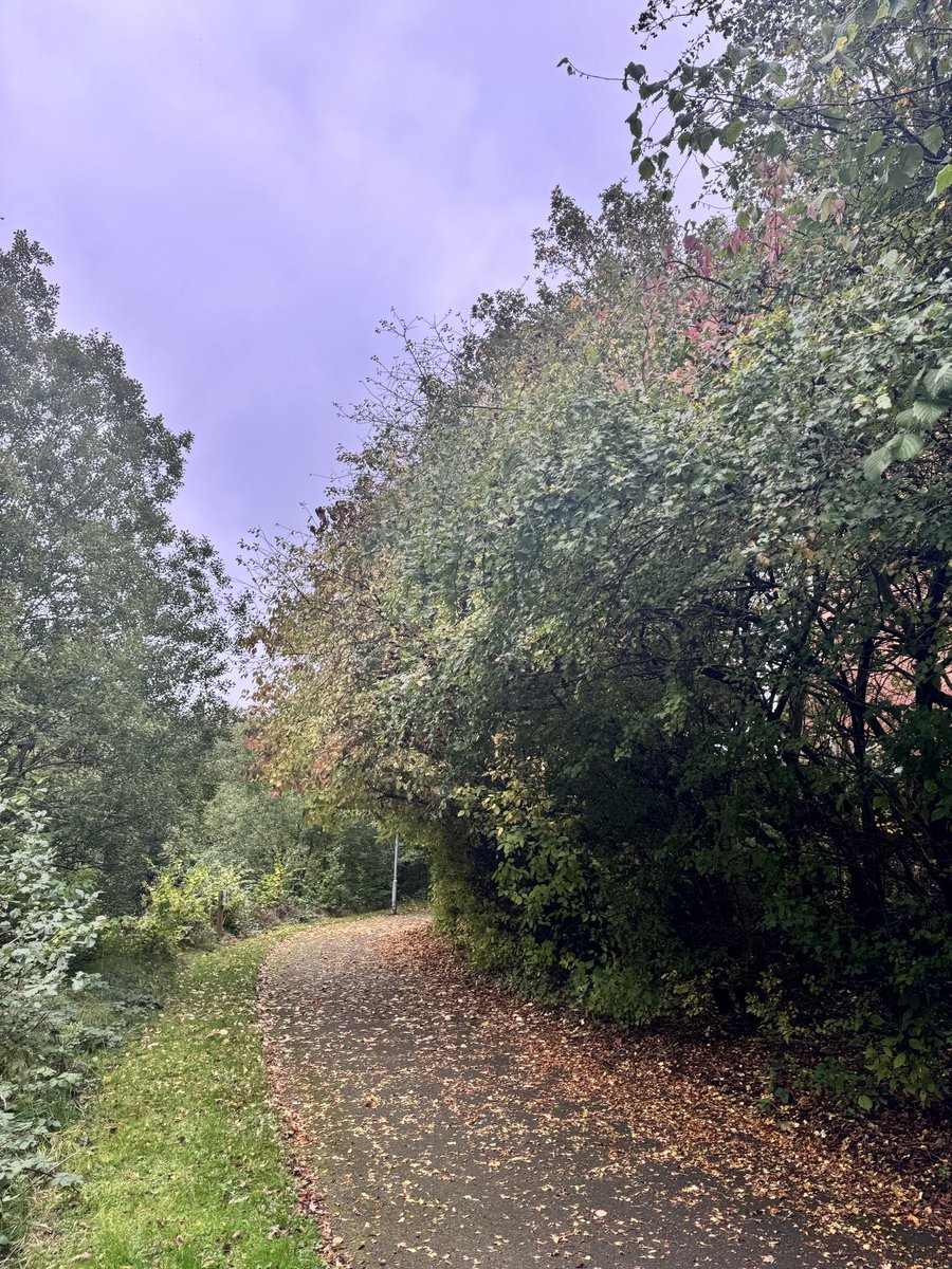 aain_ghain's tweet photo. Colours of autumn. https://t.co/xeLOX8y8CE