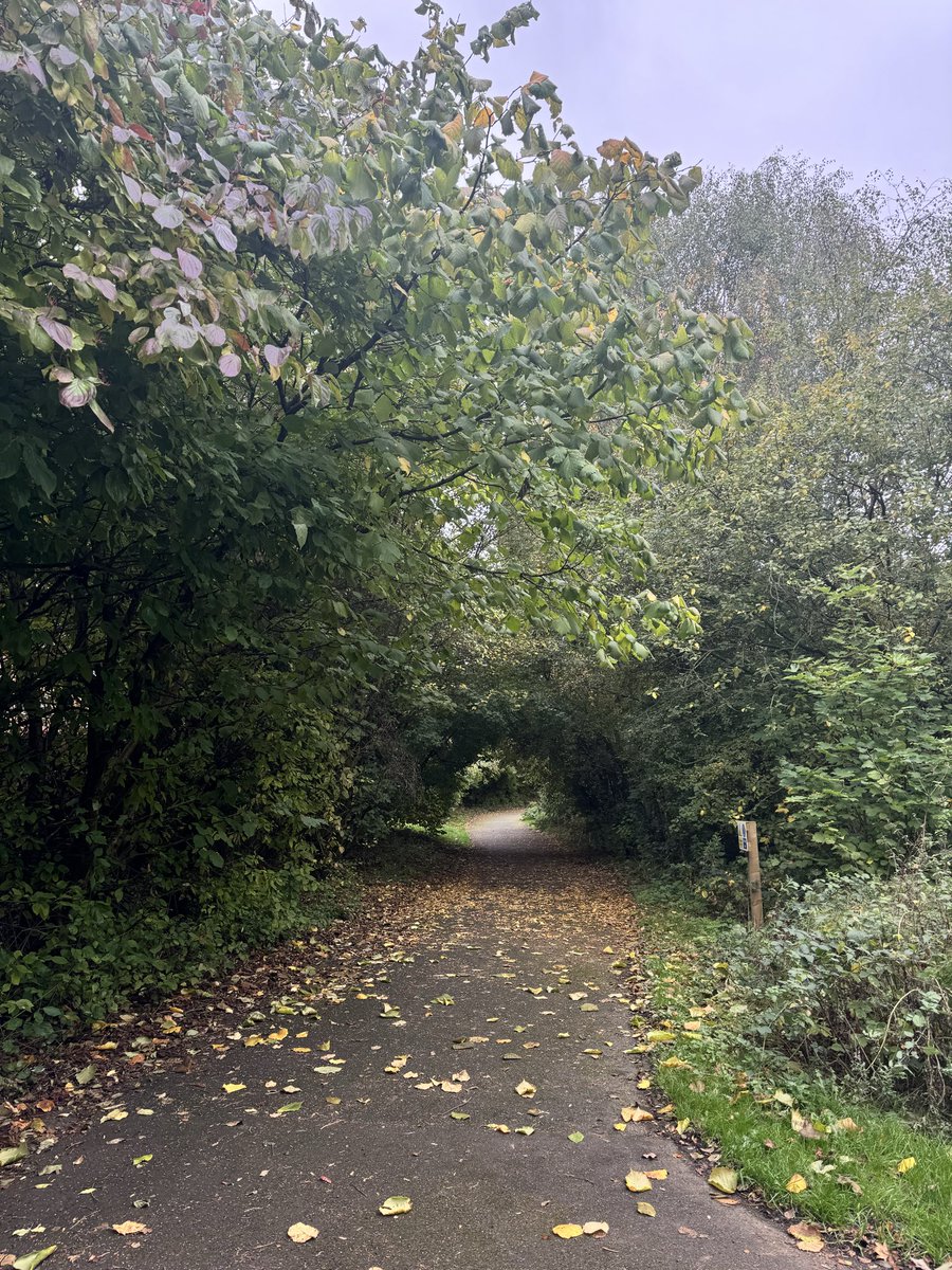 aain_ghain's tweet photo. Colours of autumn. https://t.co/xeLOX8y8CE